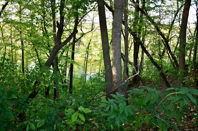 $279,500 | 1124 River Drive Northeast, Red Lake Falls, MN 56750