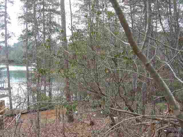 Lot 1 Jocassee Point Road Salem, SC 29676 - Photo 11 of 15 Gallery Image 11