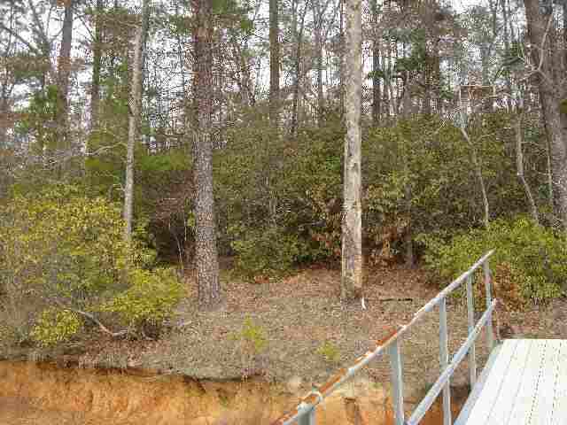 Lot 1 Jocassee Point Road Salem, SC 29676 - Photo 12 of 15 Gallery Image 12