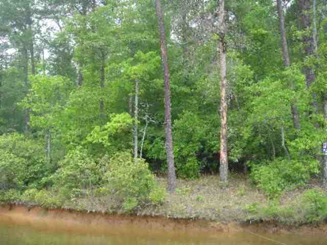 Lot 1 Jocassee Point Road Salem, SC 29676 - Photo 2 of 15 Gallery Image 2
