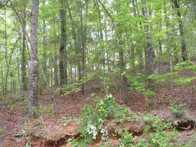 Lot 1 Jocassee Point Road Salem, SC 29676 - Photo 5 of 15 Gallery Image 5