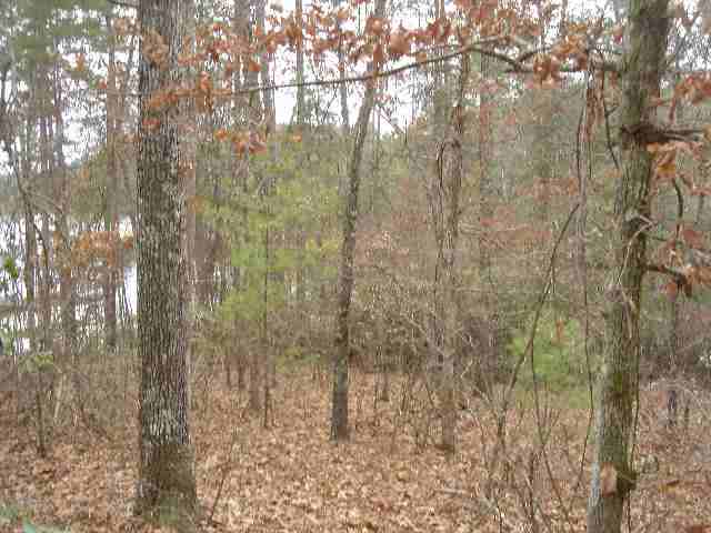 Lot 1 Jocassee Point Road Salem, SC 29676 - Photo 7 of 15 Gallery Image 7