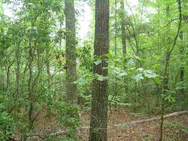 Lot 1 Jocassee Point Road Salem, SC 29676 - Photo 8 of 15 Gallery Image 8