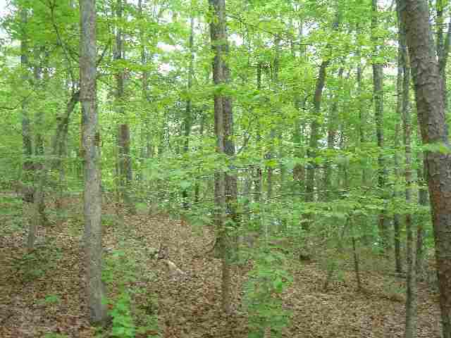 Lot 1 Jocassee Point Road Salem, SC 29676 - Photo 9 of 15 Gallery Image 9