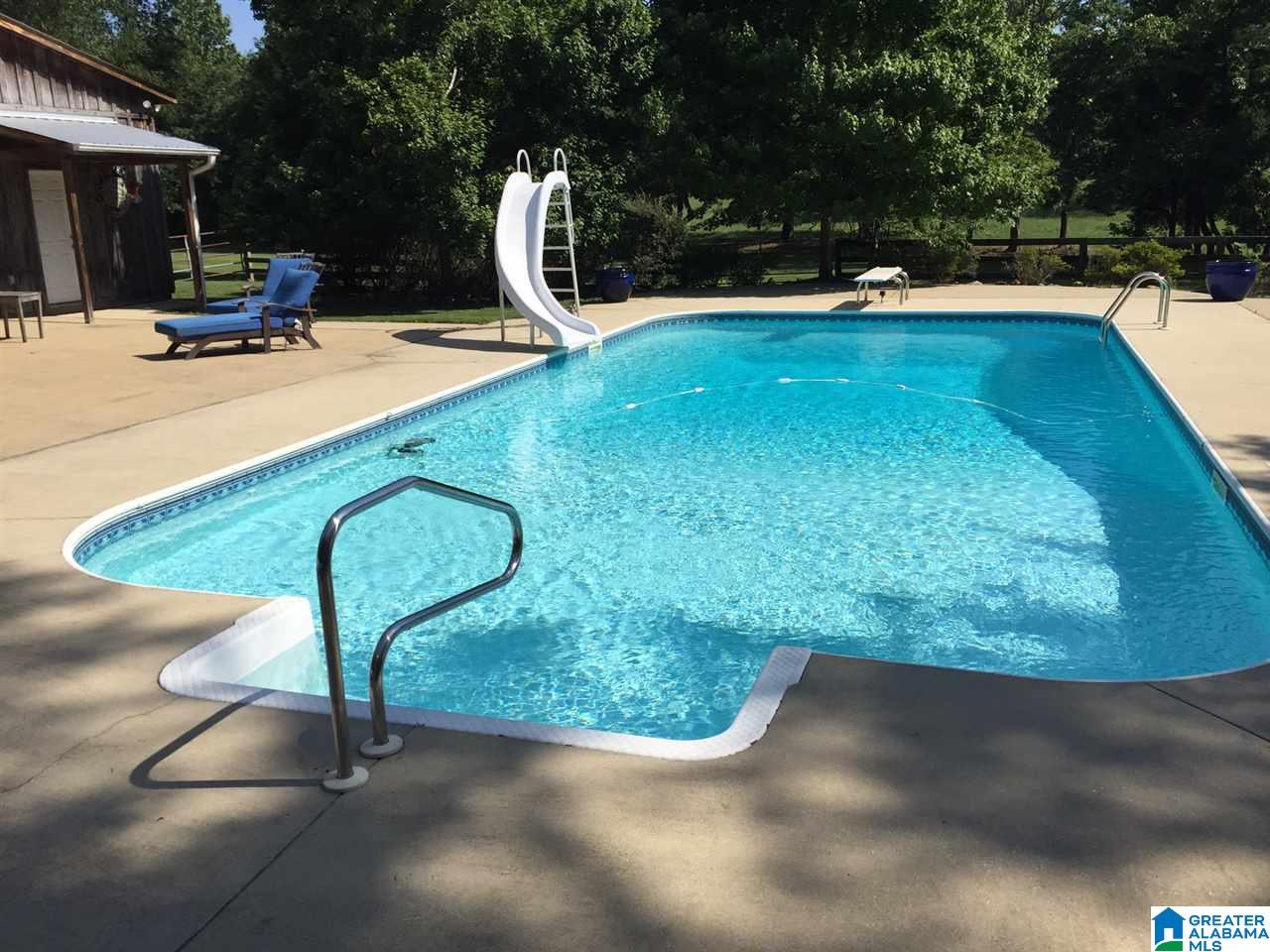 366 Parker Road Cropwell, AL 35054 - Photo 7 of 46