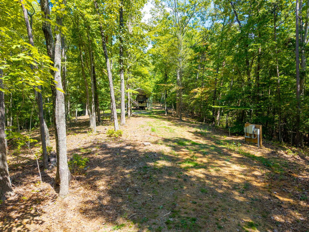153 Pack Mountain Road Murphy, NC 28906 - Photo 20 of 32 Gallery Image 20