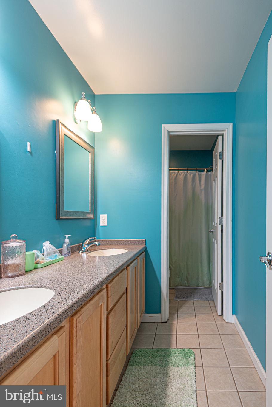 10671 Cathell Road Berlin, MD 21811 - Photo 41 of 63 a bathroom with a sink and a mirror