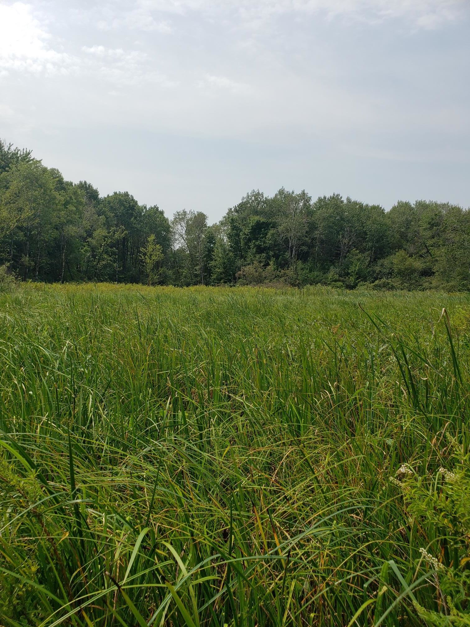 N7712 Church Road Portage, WI 53901 - Photo 29 of 44 Gallery Image 29