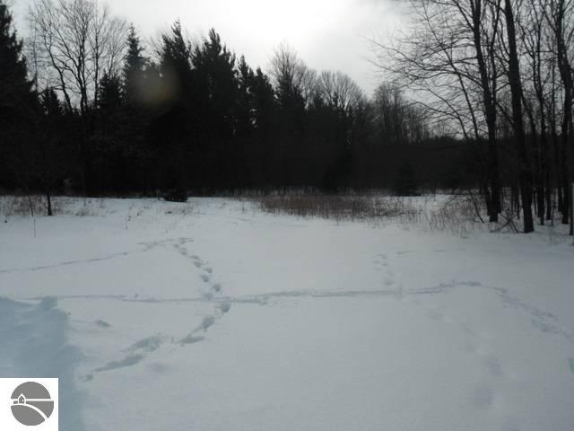 2354 East 16 1/2 Road Manton, MI 49663 - Photo 18 of 19 1733172-17.JPG