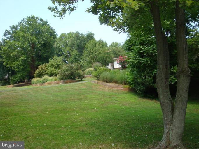 731 Petersburg Road Davidsonville, MD 21035 - Photo 16 of 16 Wooded View / Acreage 2