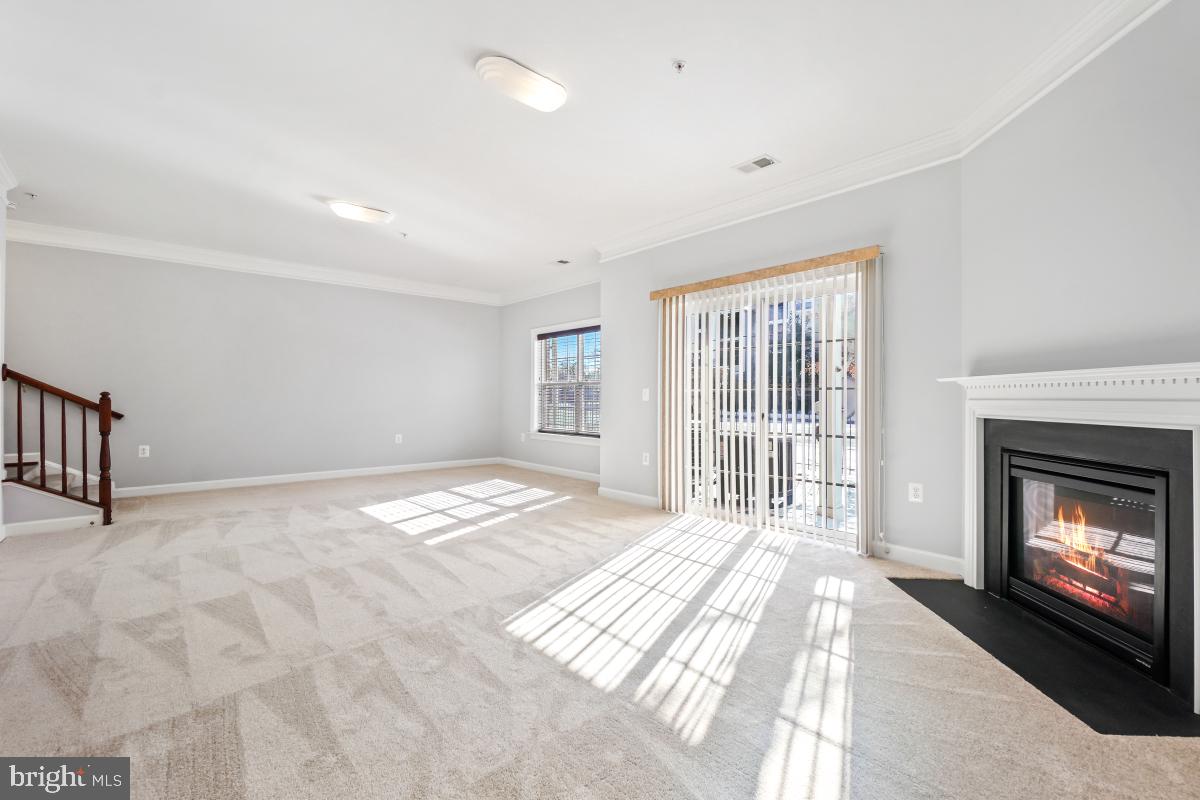 13675 Venturi Lane, Unit 233 Herndon, VA 20171 - Photo 29 of 30 Walk Out Basement