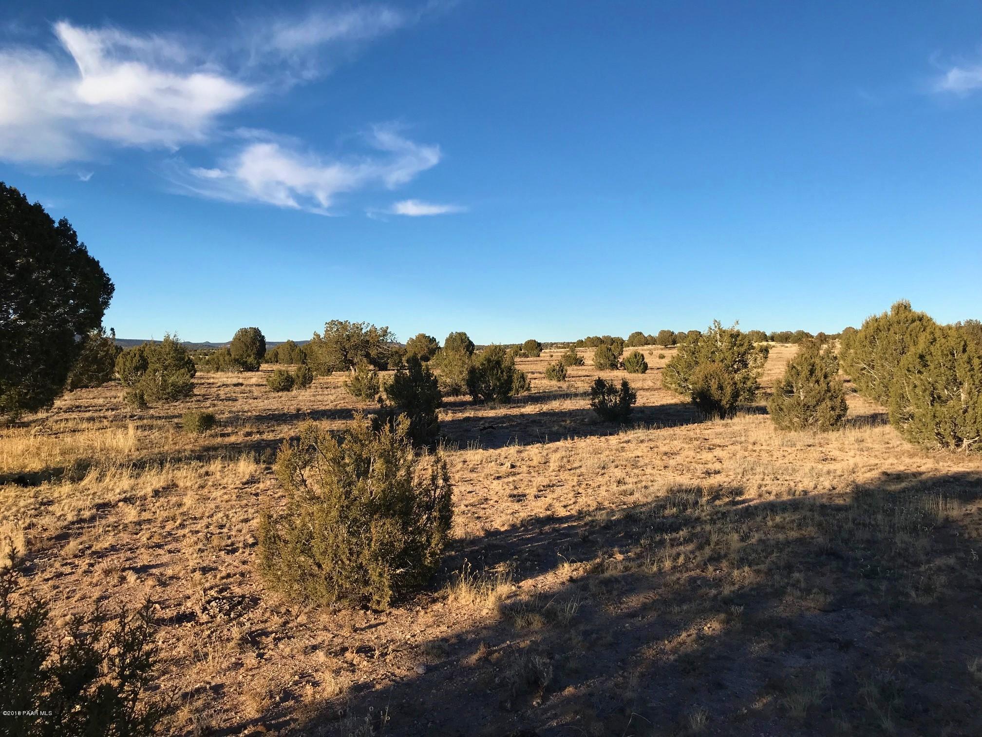 17 Off Of Tuscan Road Williams, AZ 86046 - Photo 4 of 9 IMG_6341