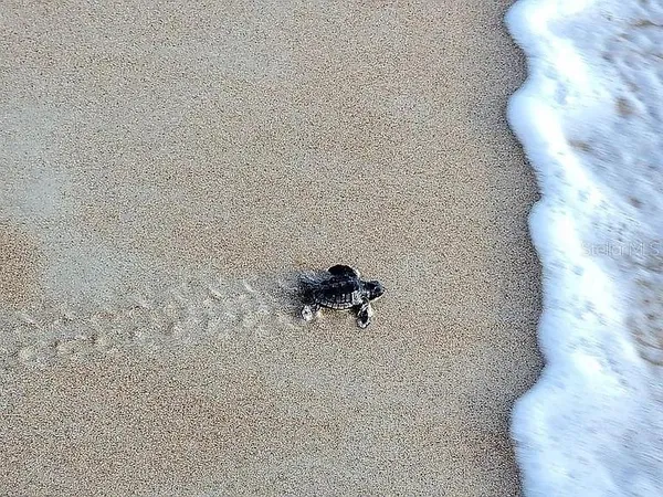 $335,000 | 1415 Ocean Shore Boulevard, Unit 805, Ormond Beach, FL 32176