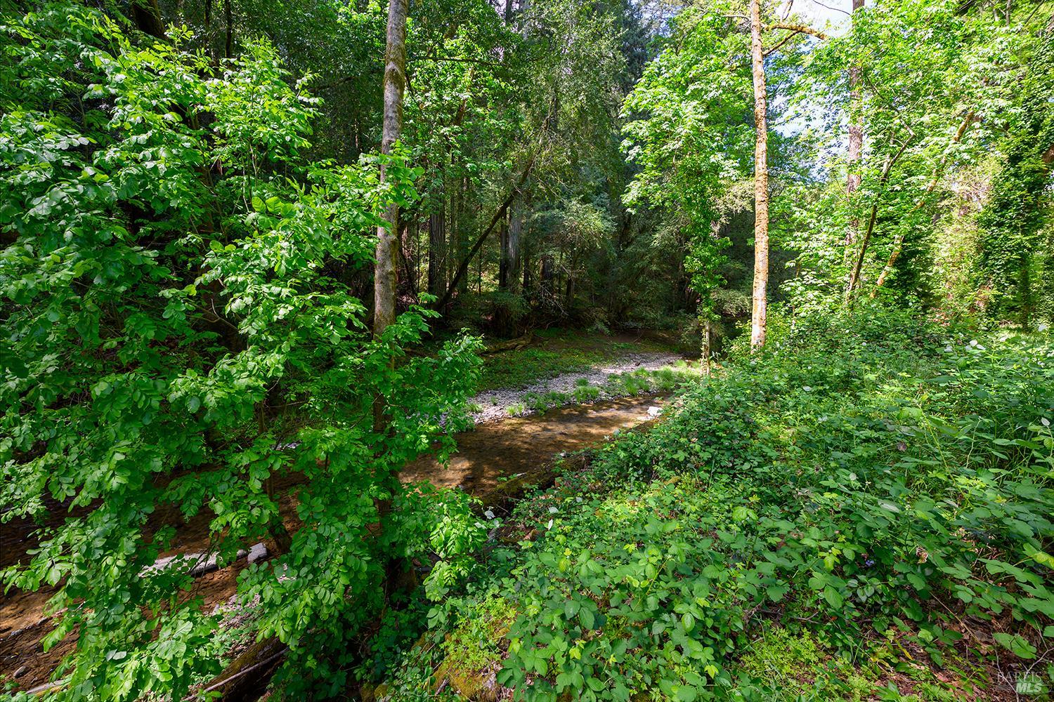 2563 Mill Creek Road Healdsburg, CA 95448 - Photo 33 of 42 a big yard with lots of green space and trees