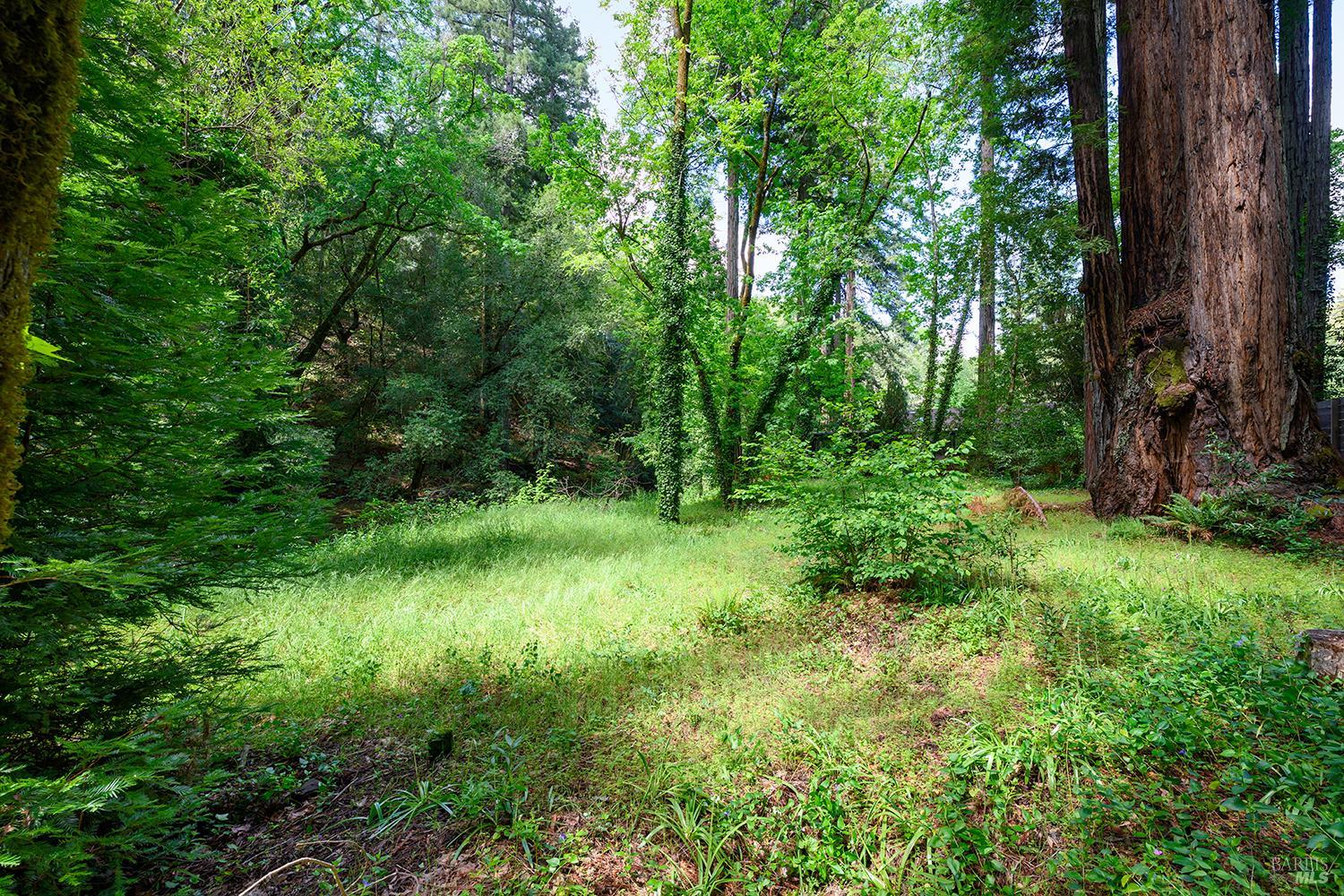 2563 Mill Creek Road Healdsburg, CA 95448 - Photo 35 of 42 a view of a lush green forest