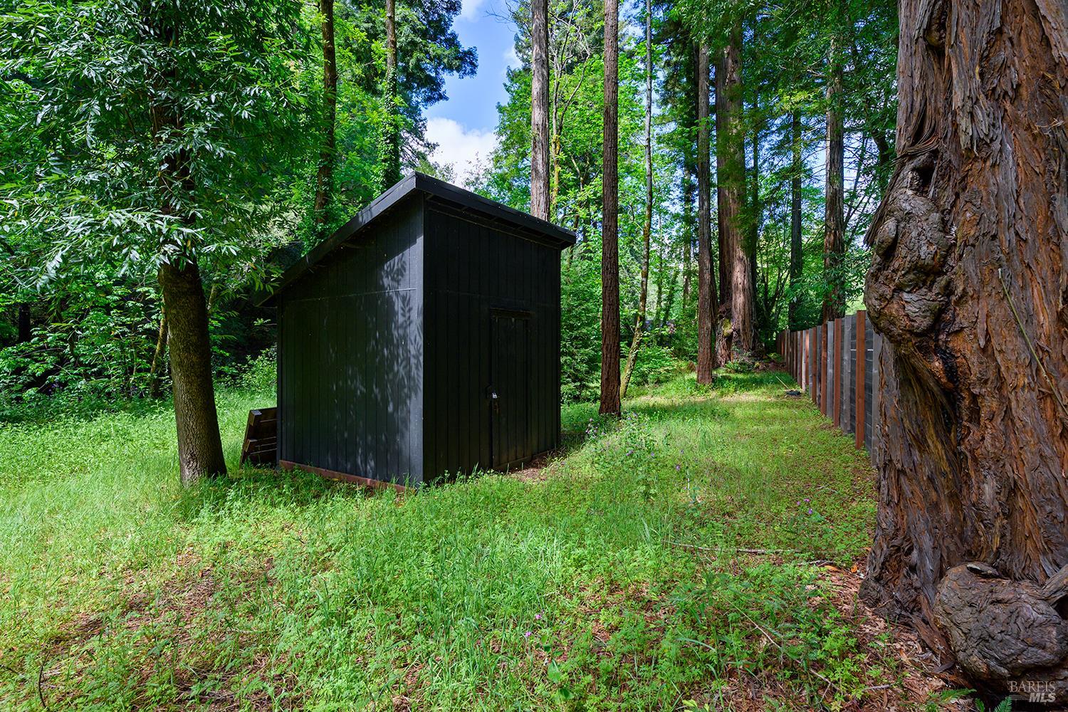 2563 Mill Creek Road Healdsburg, CA 95448 - Photo 36 of 42 a view of backyard with green space