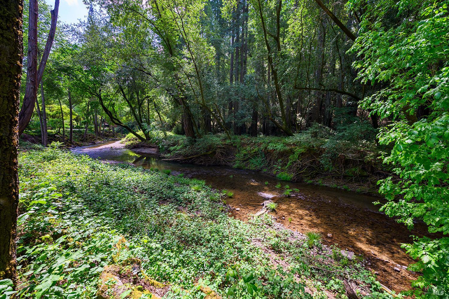 2563 Mill Creek Road Healdsburg, CA 95448 - Photo 8 of 42 a view of backyard with green space