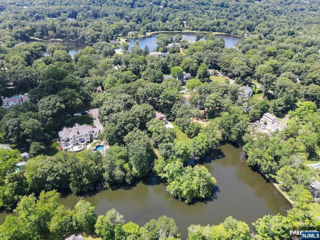 263 Arbor Road Franklin Lakes, NJ 07417 - Photo 10 of 49