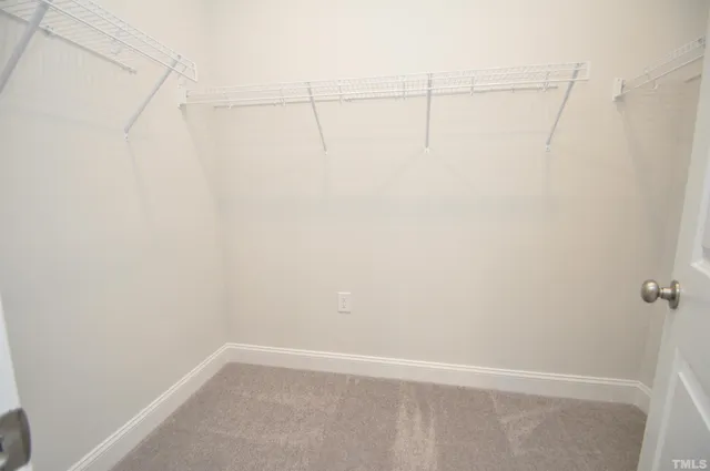 a bathroom with a sink and a shower