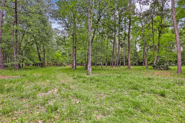 $1,050,000 | 29006 Reserve Bend Drive, Huffman, TX 77336