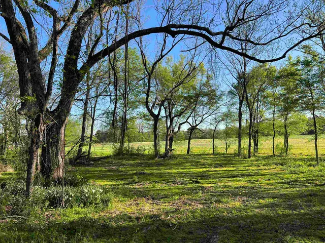 a view of green field with trees in the background