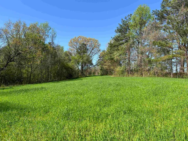 a view of lake with mountain in background