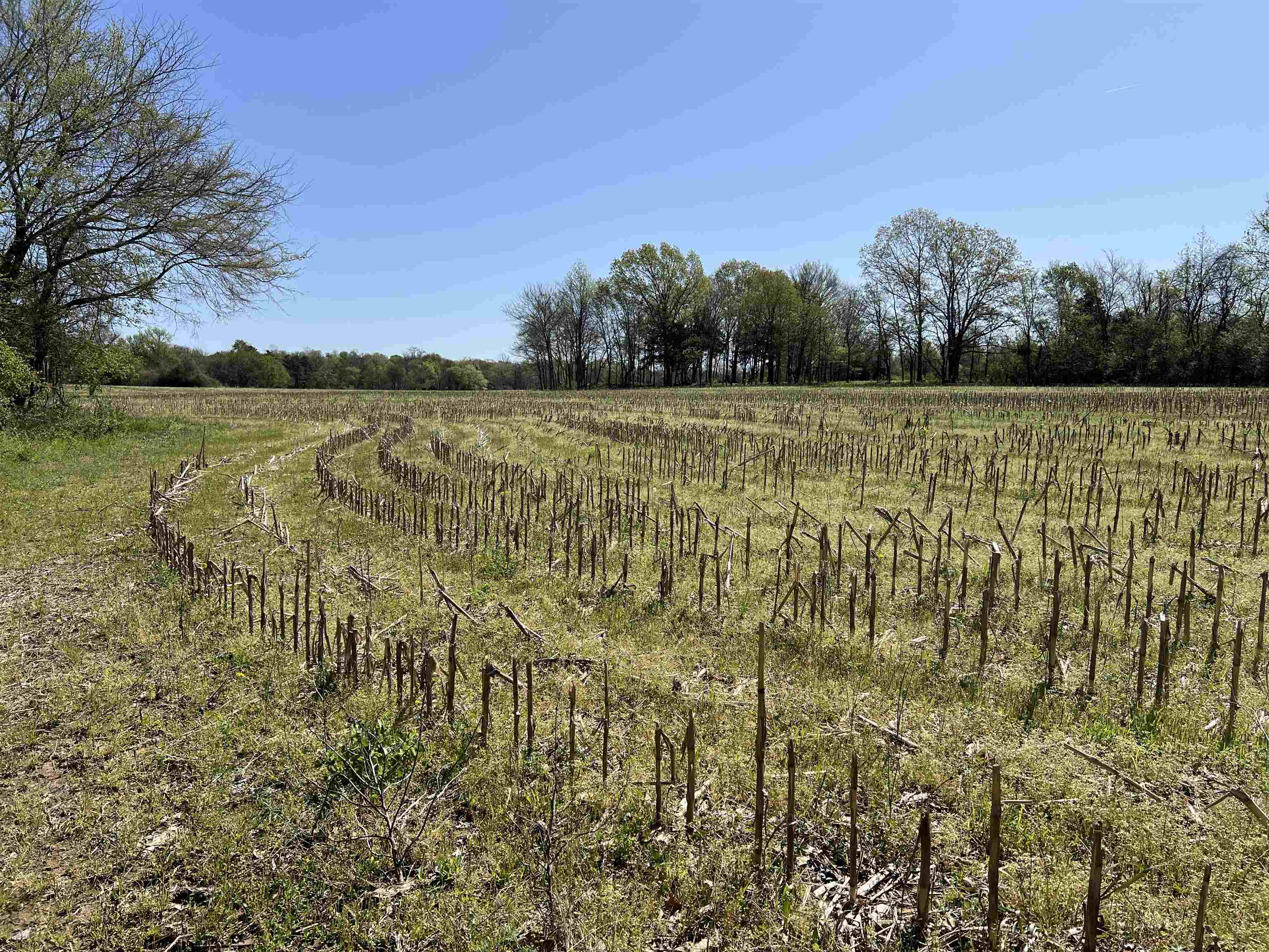 0 Burnett Road Williston, TN 38076 - Photo 16 of 40 a view of lake with mountain in background