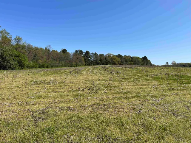 a view of a field with an ocean