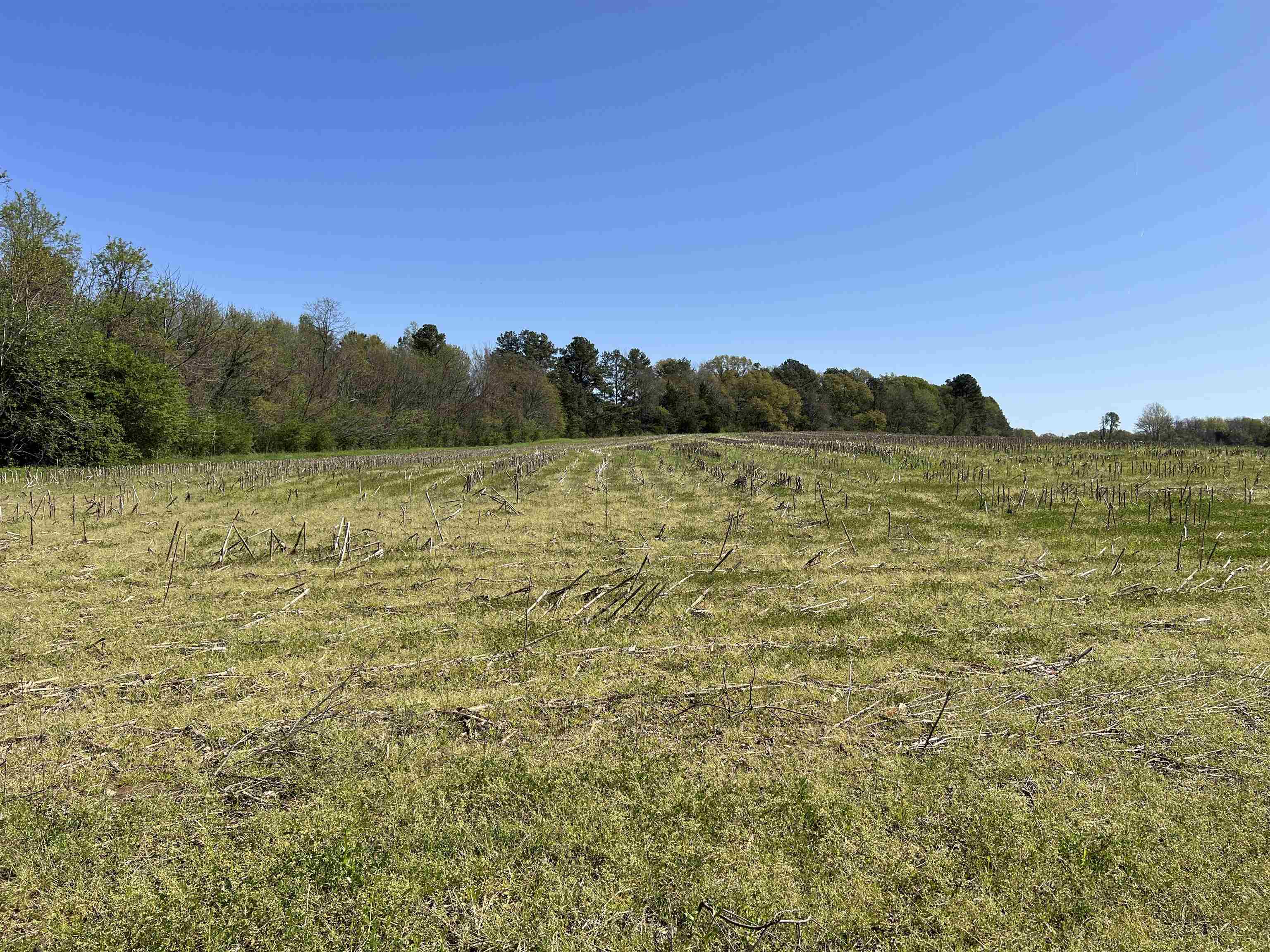 0 Burnett Road Williston, TN 38076 - Photo 18 of 40 a view of an ocean from a yard