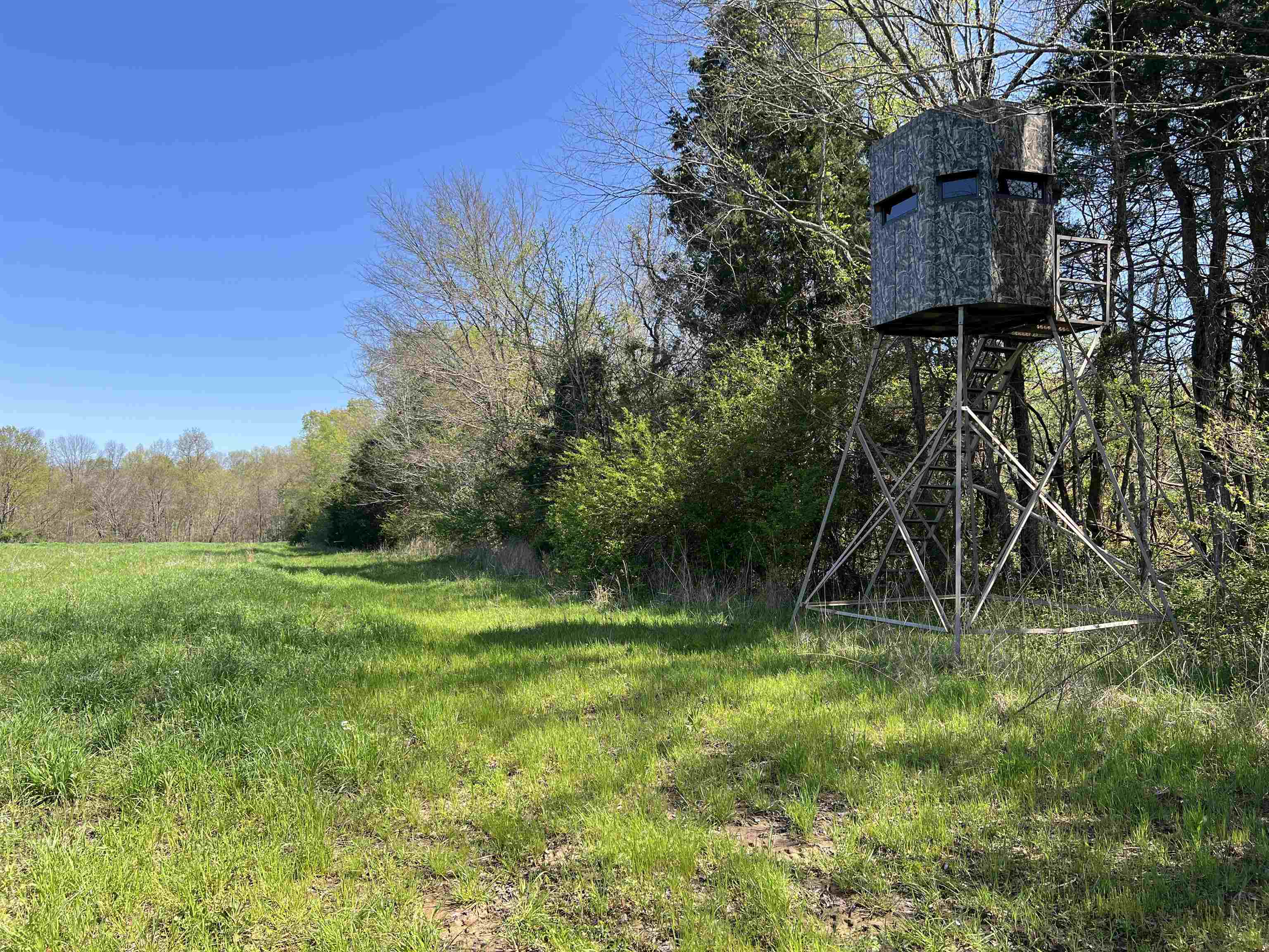 0 Burnett Road Williston, TN 38076 - Photo 20 of 40 a view of a park