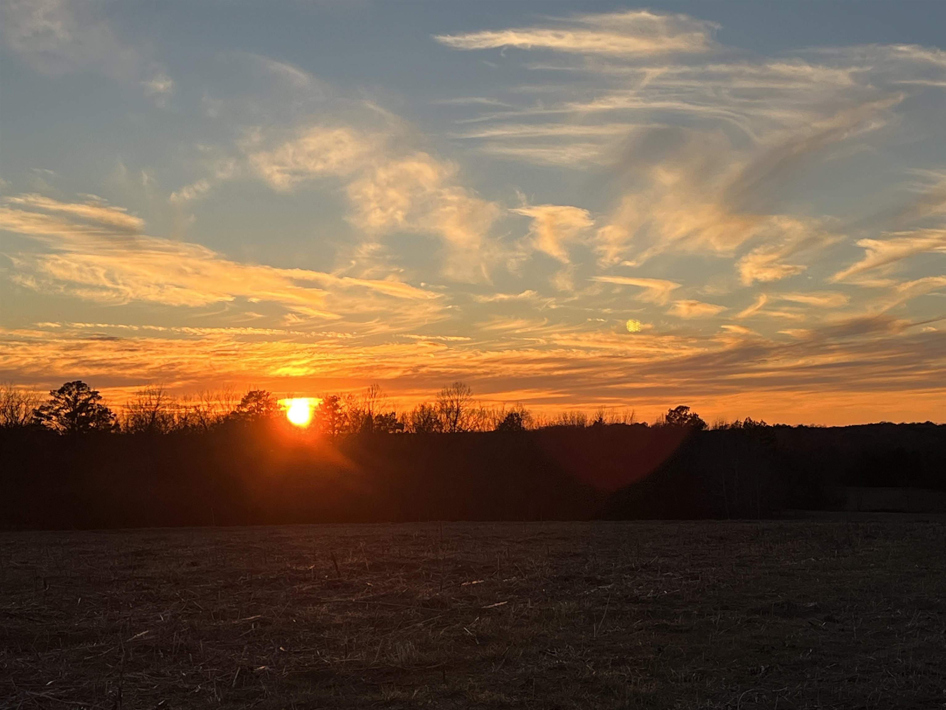 0 Burnett Road Williston, TN 38076 - Photo 2 of 40