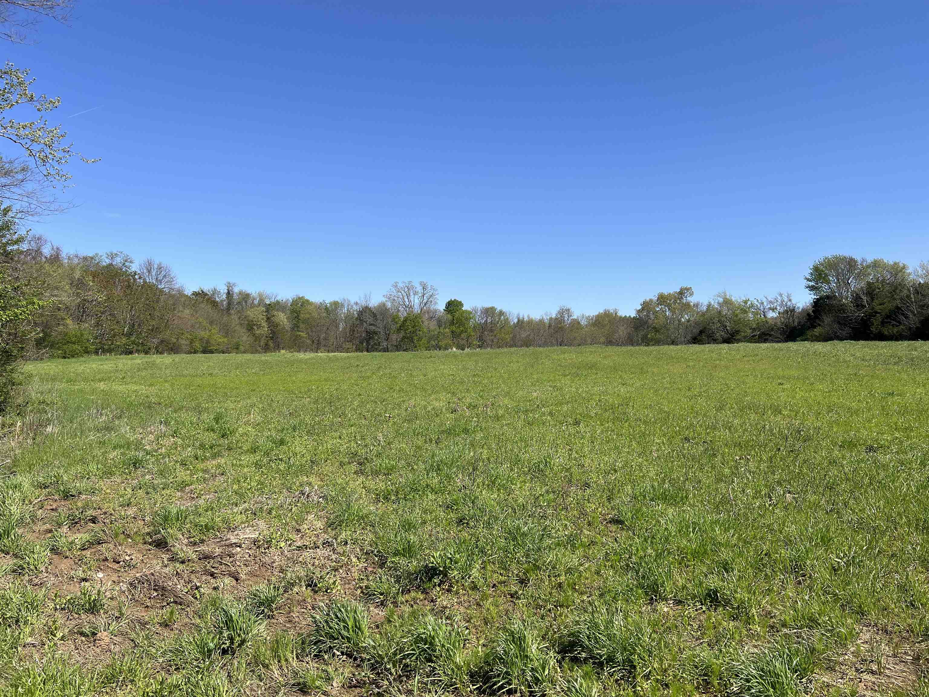 0 Burnett Road Williston, TN 38076 - Photo 21 of 40 a view of a field with an ocean