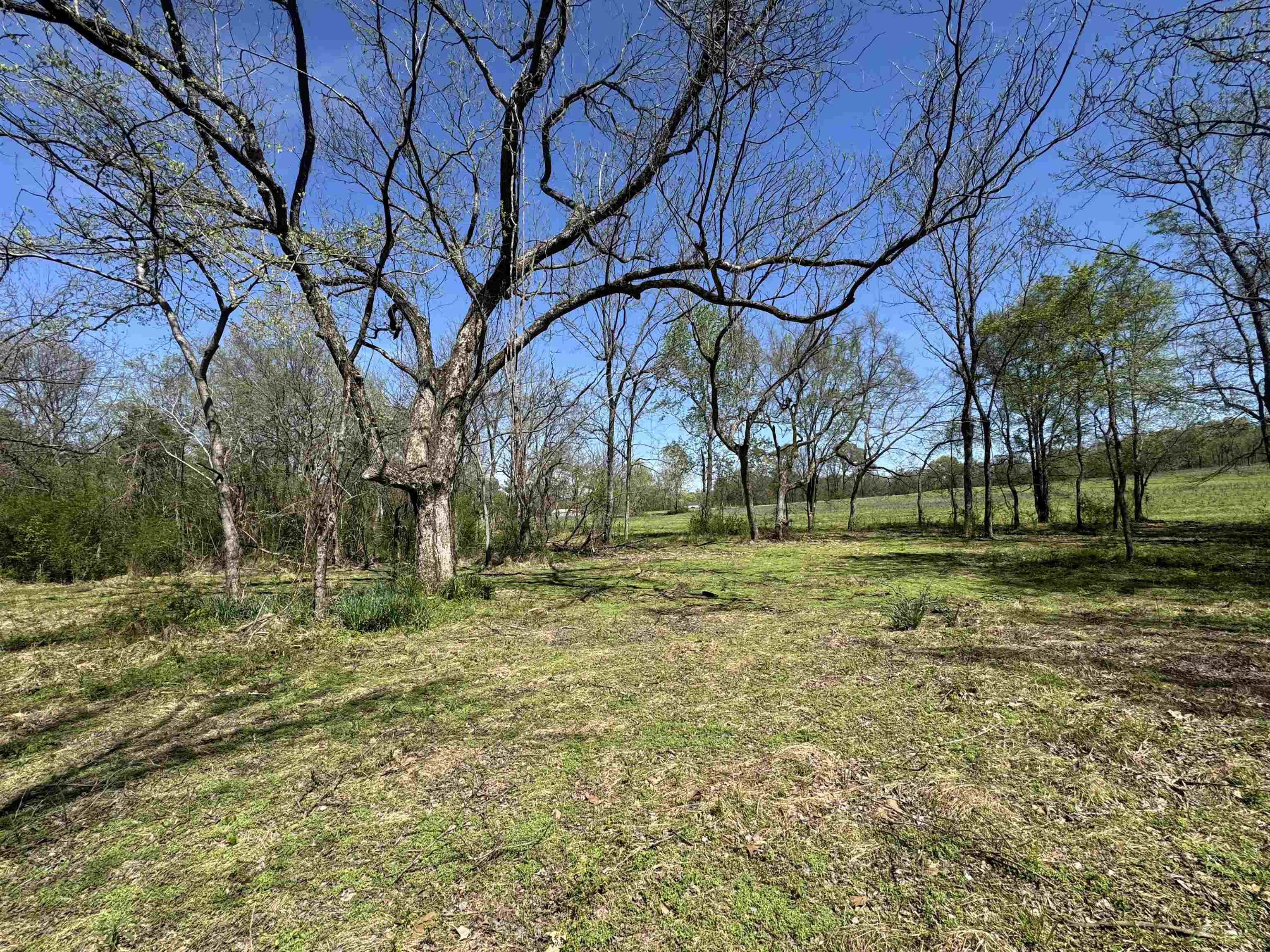 0 Burnett Road Williston, TN 38076 - Photo 22 of 40 a backyard of a house with lots of green space