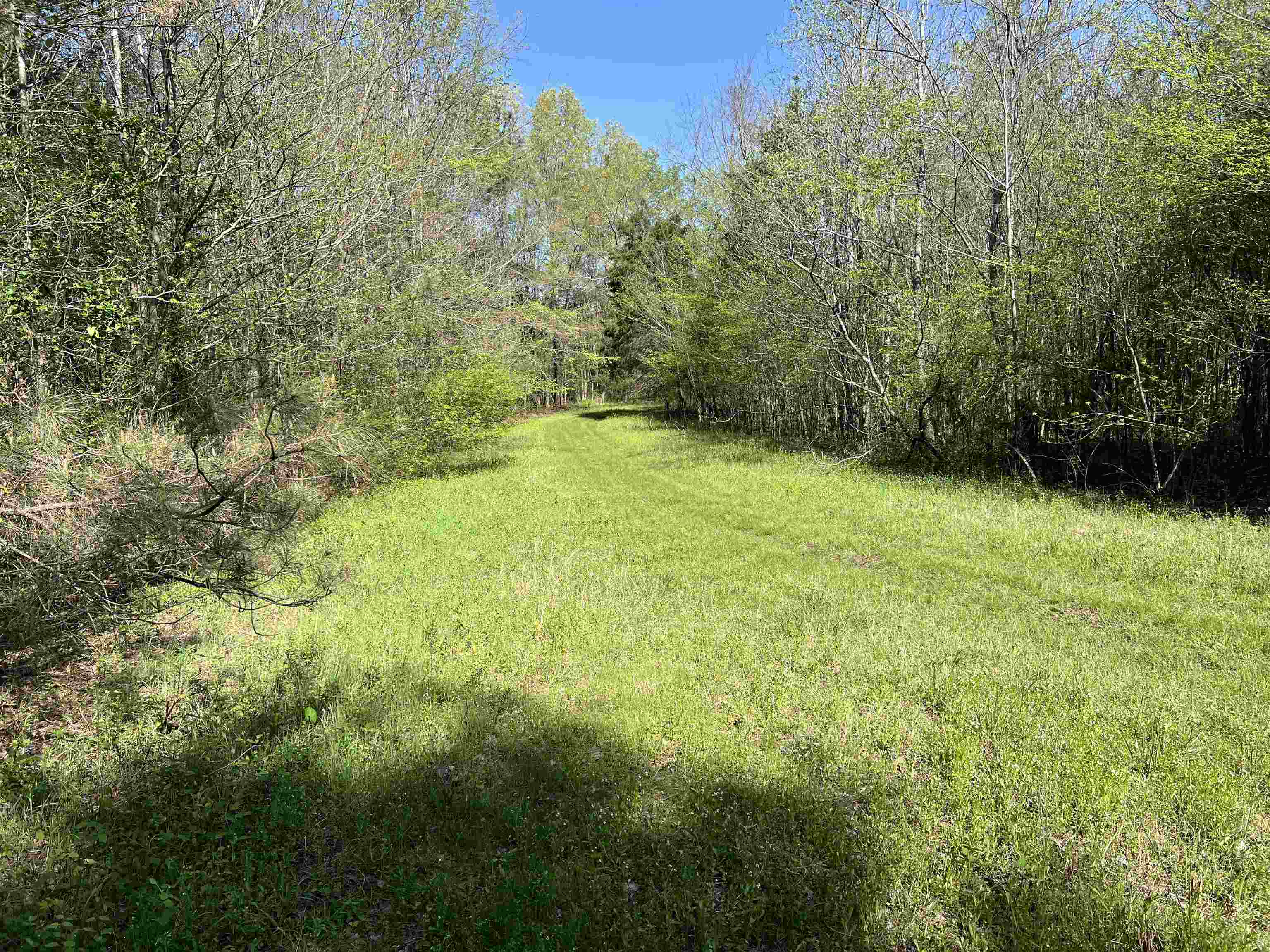 0 Burnett Road Williston, TN 38076 - Photo 32 of 40 a view of an outdoor space and a yard