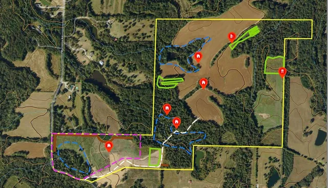 a view of a yard with table and chairs