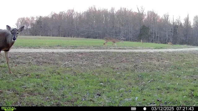 $1,785,000 | Burnett Road, Williston, TN 38076