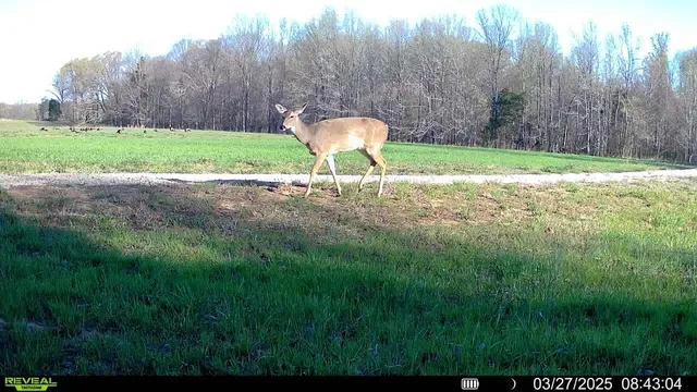 $1,785,000 | Burnett Road, Williston, TN 38076