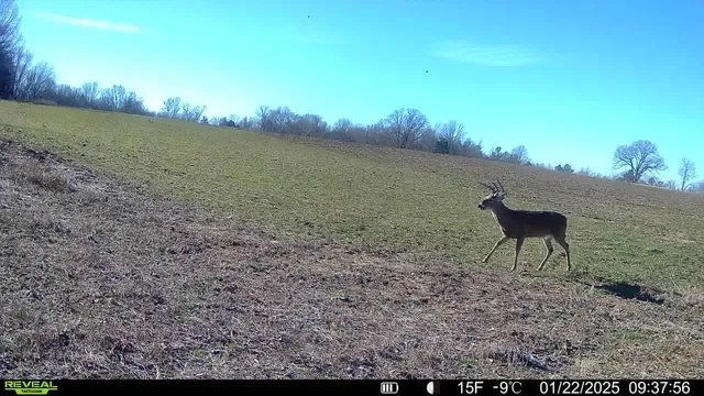 $1,785,000 | Burnett Road, Williston, TN 38076