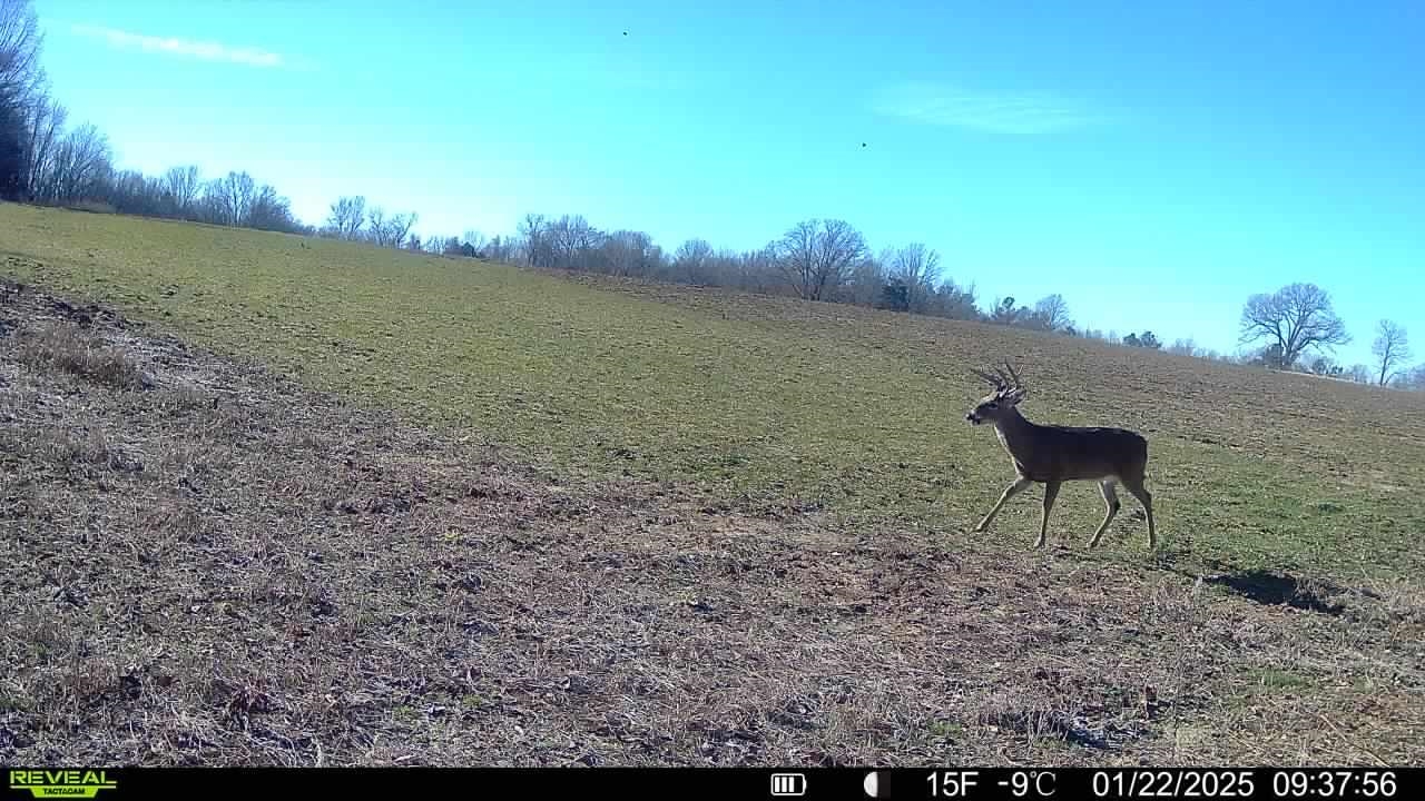 0 Burnett Road Williston, TN 38076 - Photo 39 of 40 a view of a lake with a yard