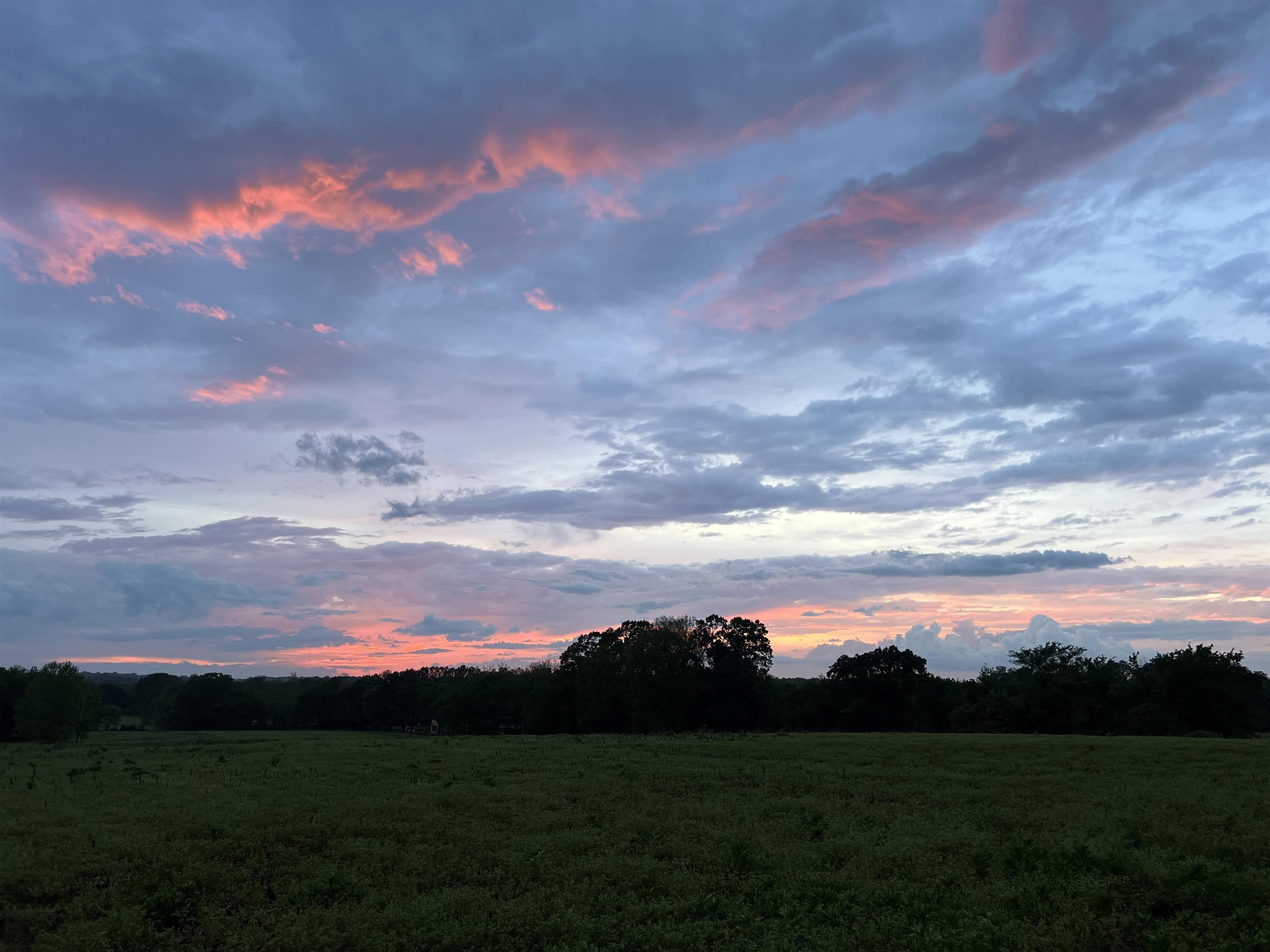 0 Burnett Road Williston, TN 38076 - Photo 4 of 40 a view of a sky