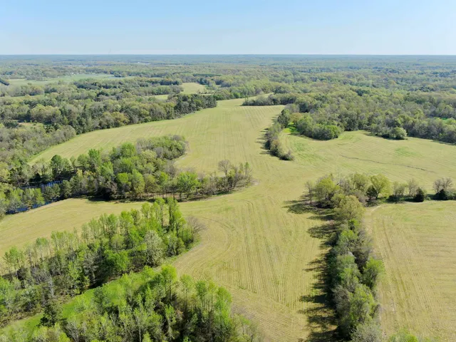 a view of a yard with trees