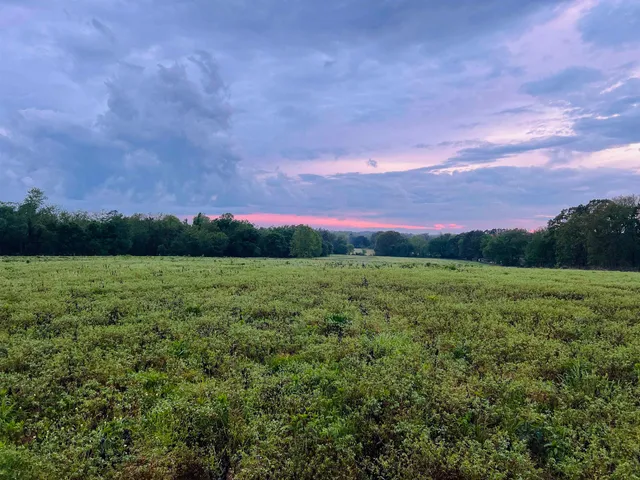 a view of a green field with mountains in the background