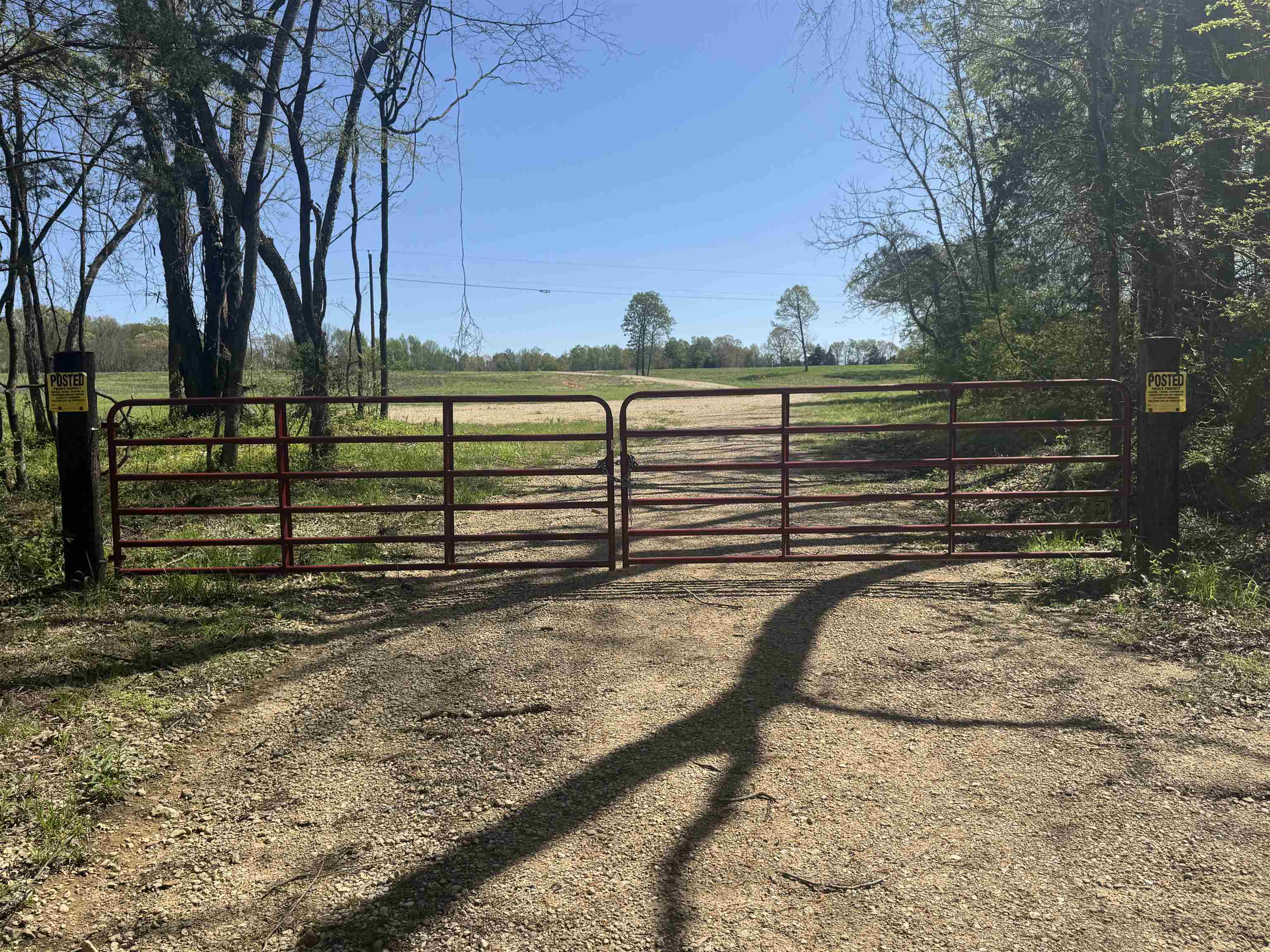 0 Burnett Road Williston, TN 38076 - Photo 9 of 40 a view of backyard with trees