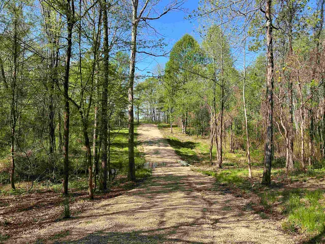 a view of yard with tree