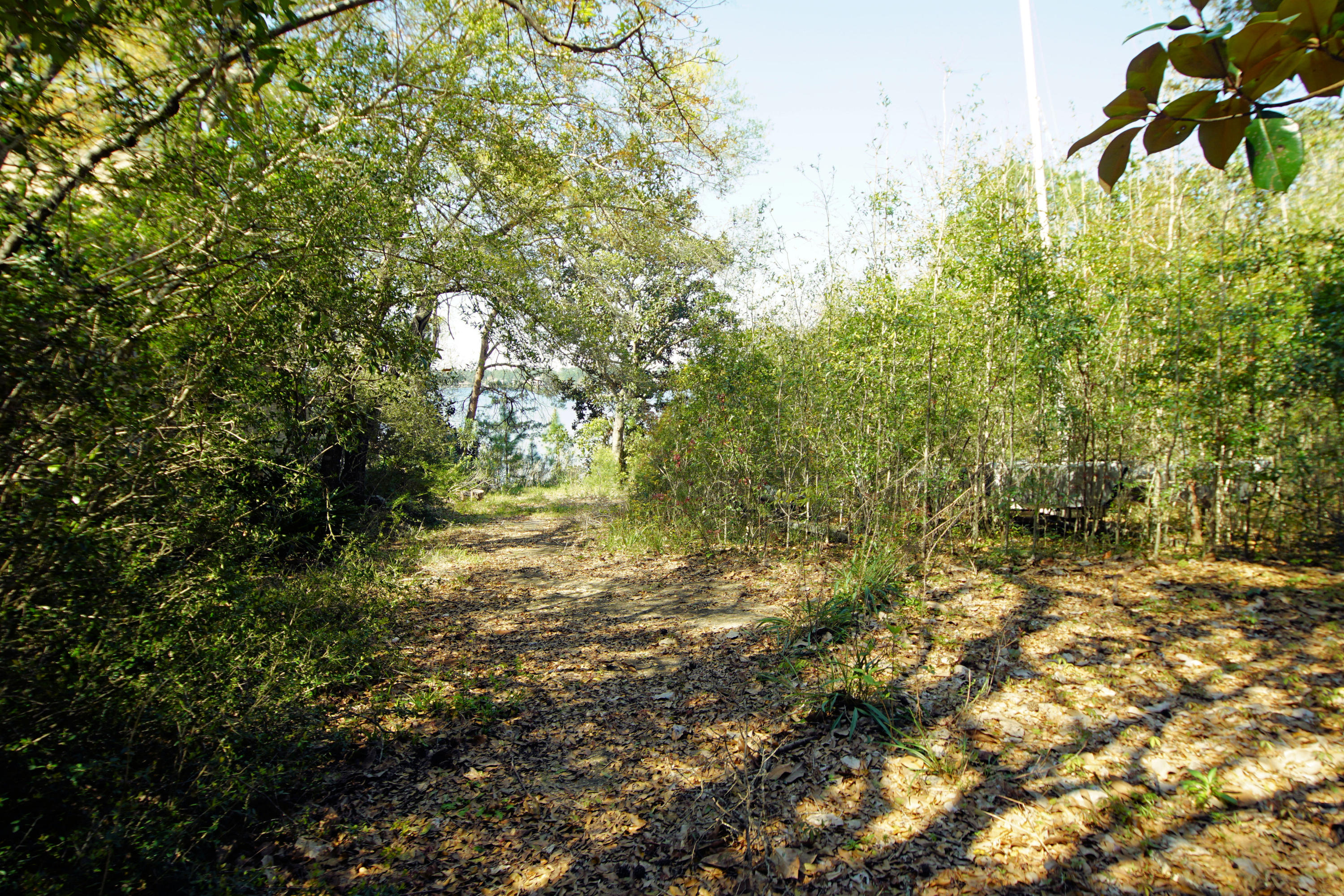 615 Nelson Point Road Niceville, FL 32578 - Photo 6 of 6 Path to the water