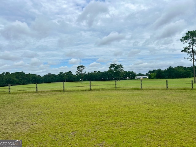 1302 Jim Sapp Road Claxton, GA 30417 - Photo 16 of 55