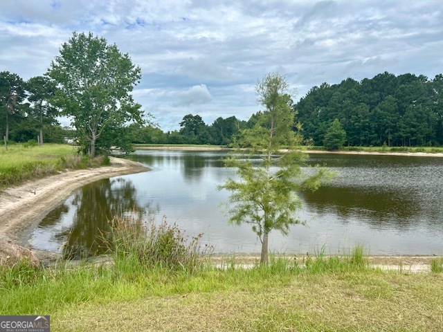 1302 Jim Sapp Road Claxton, GA 30417 - Photo 45 of 55