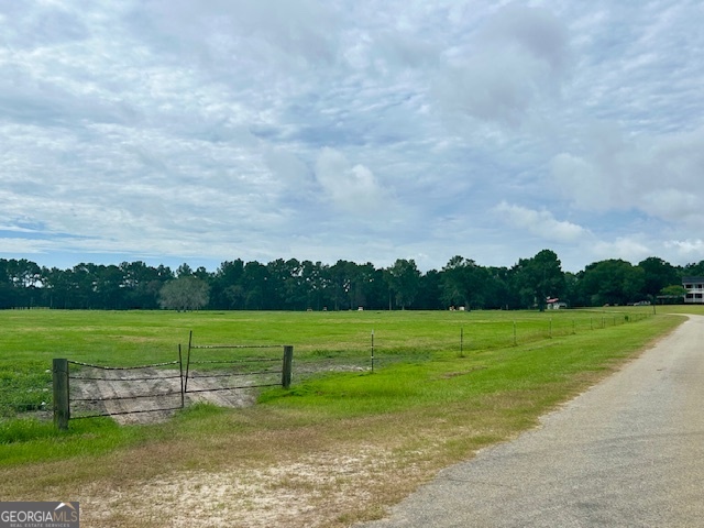 1302 Jim Sapp Road Claxton, GA 30417 - Photo 47 of 55