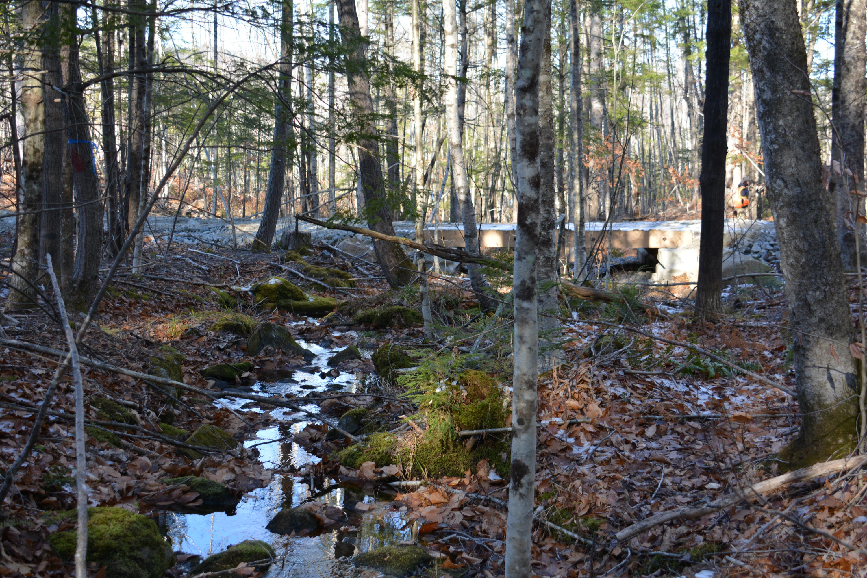 0 French Hill Road Bethel, ME 04217 - Photo 14 of 18 DSC_0158
