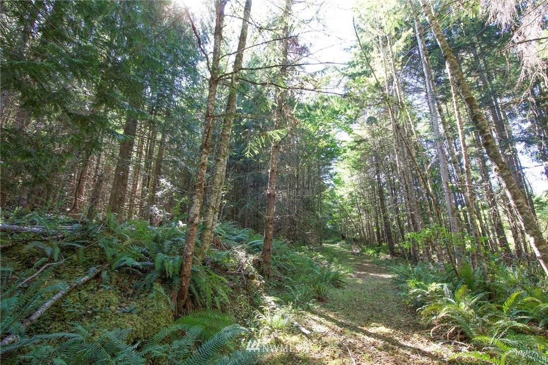 999 Olympic Ridge Road Sequim, WA 98382 - Photo 14 of 25 Gallery Image 14